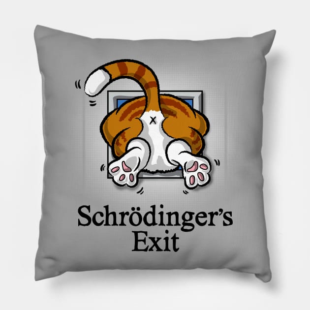 Schrodinger's Exit Pillow by ACraigL
