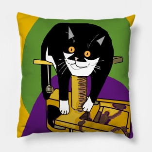 Cute Tuxedo Cat Just hanging on the scratching post  Copyright TeAnne Pillow