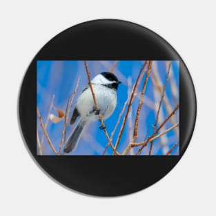 Little Chickadee Pin