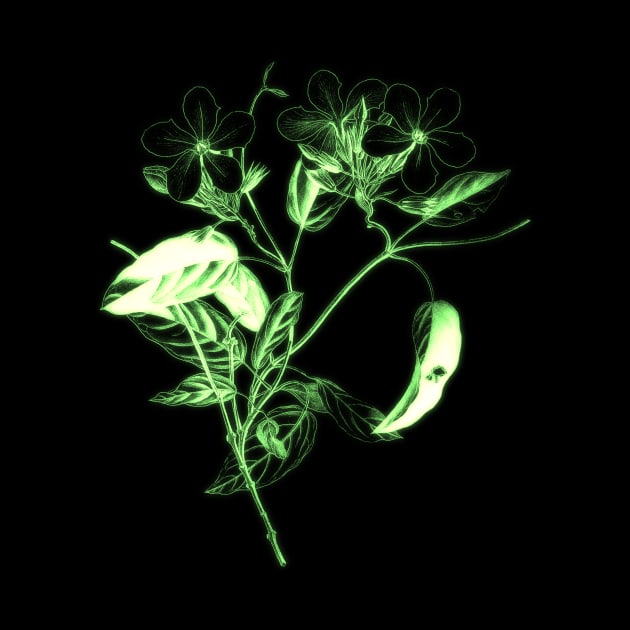 Flowers art - Green flower blooming by InspirationalDesign