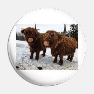 Scottish Highland Cattle Cow and Calf 1679 Pin