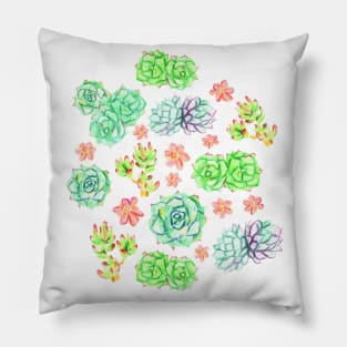 Succulents Pillow