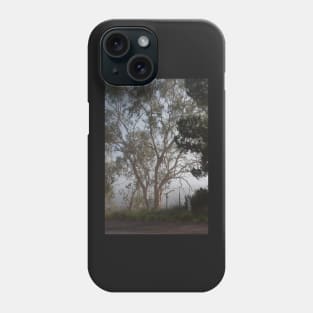 Gum tree in the mist Phone Case