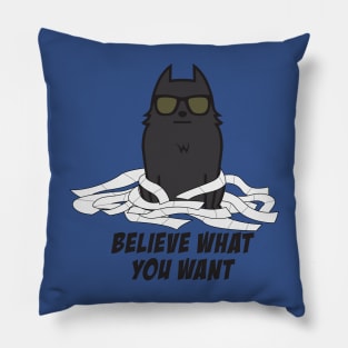 Believe What You Want Pillow