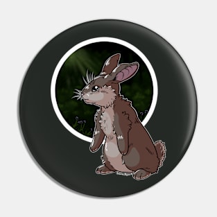 Rabbit Safe Haven Pin