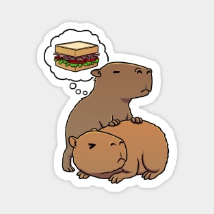 Capybara hungry for BLT Sandwich Magnet