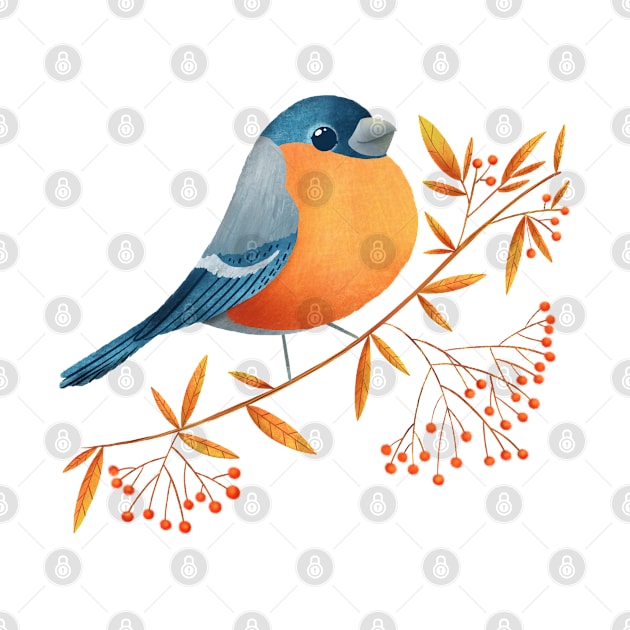 Bullfinch illustration by Angela Sbandelli Illustration and Design