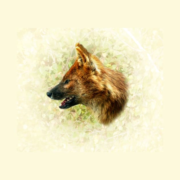 Asian wild dog by Guardi