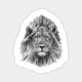 Lion face G21-002 Magnet