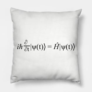 Schrodinger's Equation Pillow