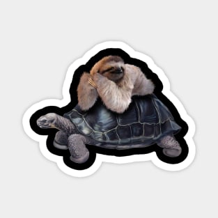 Sloth Lying on Turtle, Funny Lazy Animals Magnet
