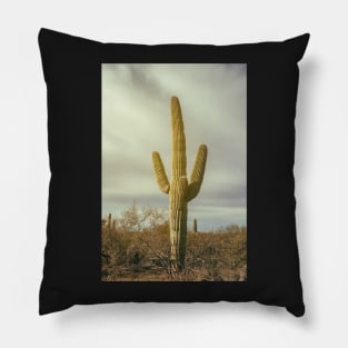 Saguaro Pillow