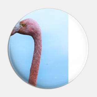 Flamingo Pin