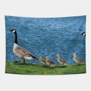 Canada Geese and Gosling Family Tapestry