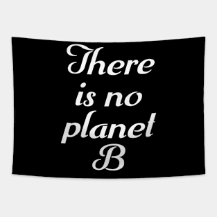 PLANET B 27 Tapestry