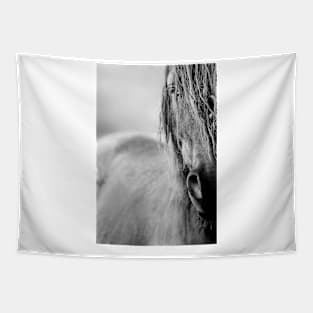 Wild horse Tapestry