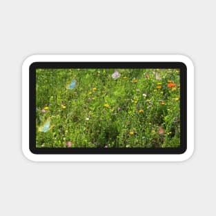 5 colorful angel butterflies over yellow dandelions and wild flowers in sunlight grass Magnet