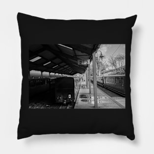 Platforms 2 and 3 Aylsham railway station Pillow