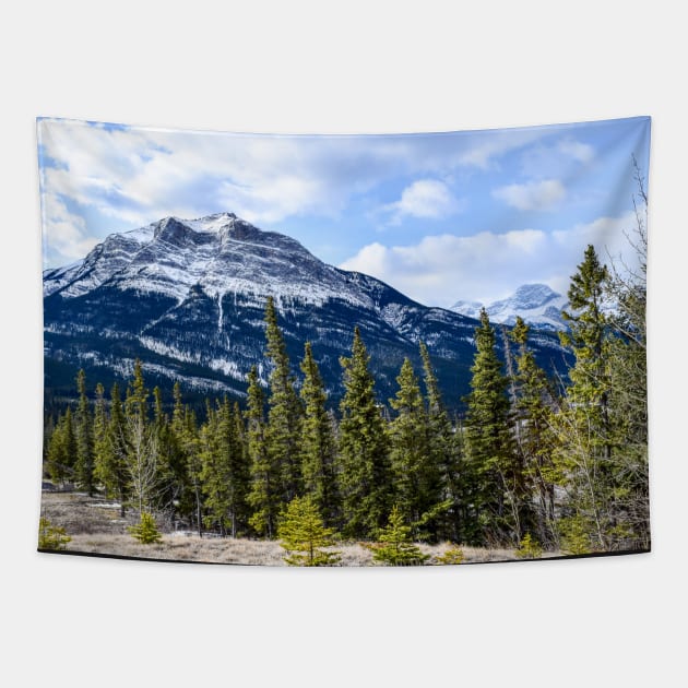 Grotto Canyon trailhead Tapestry by CanadianWild418