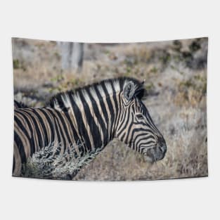 Namibia. Etosha National Park. Zebra. Tapestry