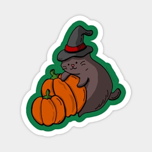 Cute Kittens - Pumpkin Field Magnet