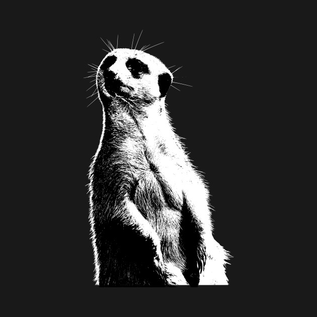 Disover Meerkat live in southern Africa - Geocacher - T-Shirt