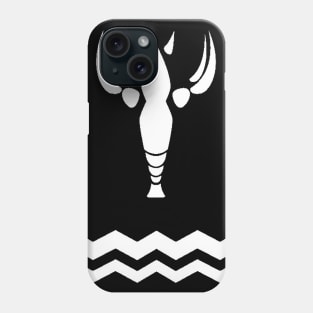 Wind Waker-Heros New Clothes Phone Case