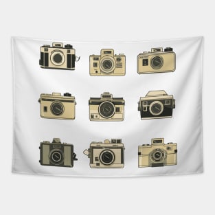 Cameras Tapestry