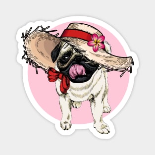 Flower Hat Dog Pug Magnet