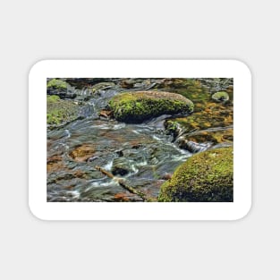 River Dart at Dartmeet Dartmoor. Magnet