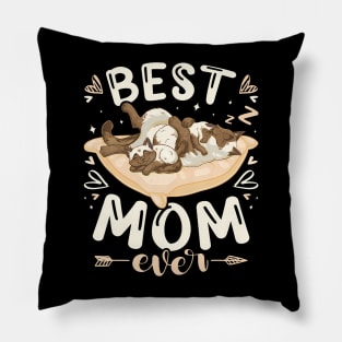 Best Mom Ever Mother Siamese Cat 2 Kittens Mother'S Day Pillow