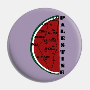 Palestine map Pin