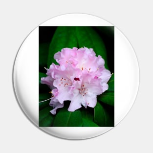 Rhododendron Pin