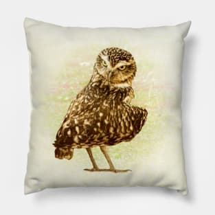 Burrowing owl Pillow