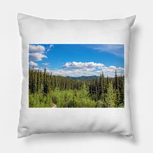 Denali Spring Pillow