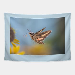 Hovering Hummingbird Moth Tapestry