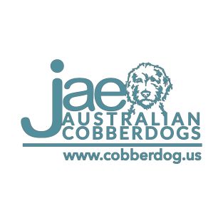 JAE Cobberdogs - Teal Logo T-Shirt