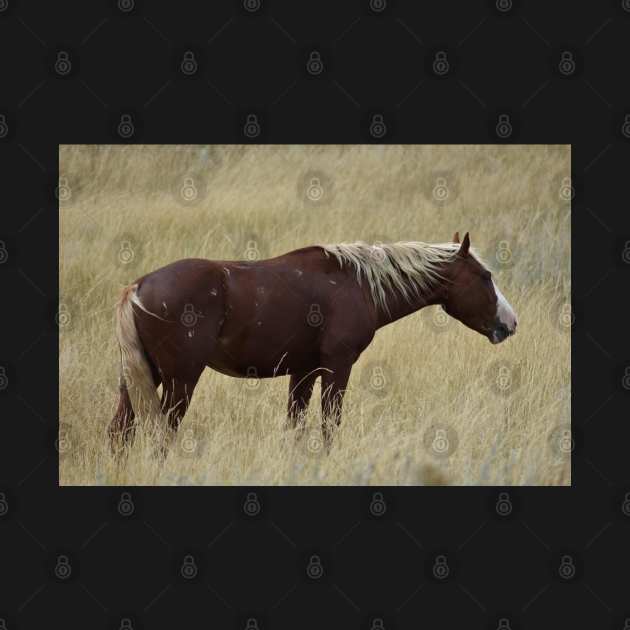 Wild Brown Horse by MarieDarcy