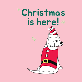 Dog Merry Xmas Funny Gift T-Shirt