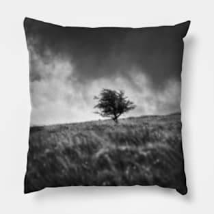 Single Tree on Dartmoor Pillow