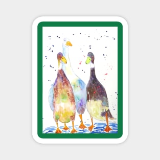 Three Proud Indian Runner Ducks Magnet