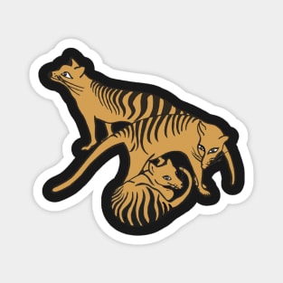 Tassie Tiger Family in repose! Magnet