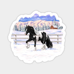 Black Pinto Piebald Gypsy Vanner Draft Horse Trotting in Snow Magnet