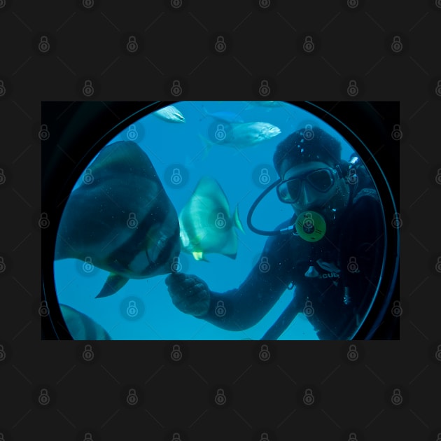 Egypt. Hurghada. Red Sea. Feeding the Fish. by vadim19