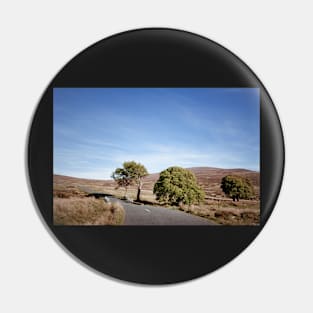 Sally Gap Pin