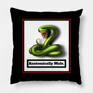 GENDER IDENTITY? ANATOMICALLY MALE Pillow