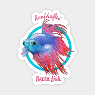 Betta Fish 2 Magnet