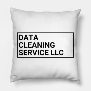 Data Cleaning Service LLC Pillow