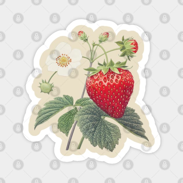 Strawberry Ukiyoe Art Japanese Art Magnet by GrooveGeekPrints