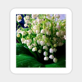 bouquet lily of the valley Magnet